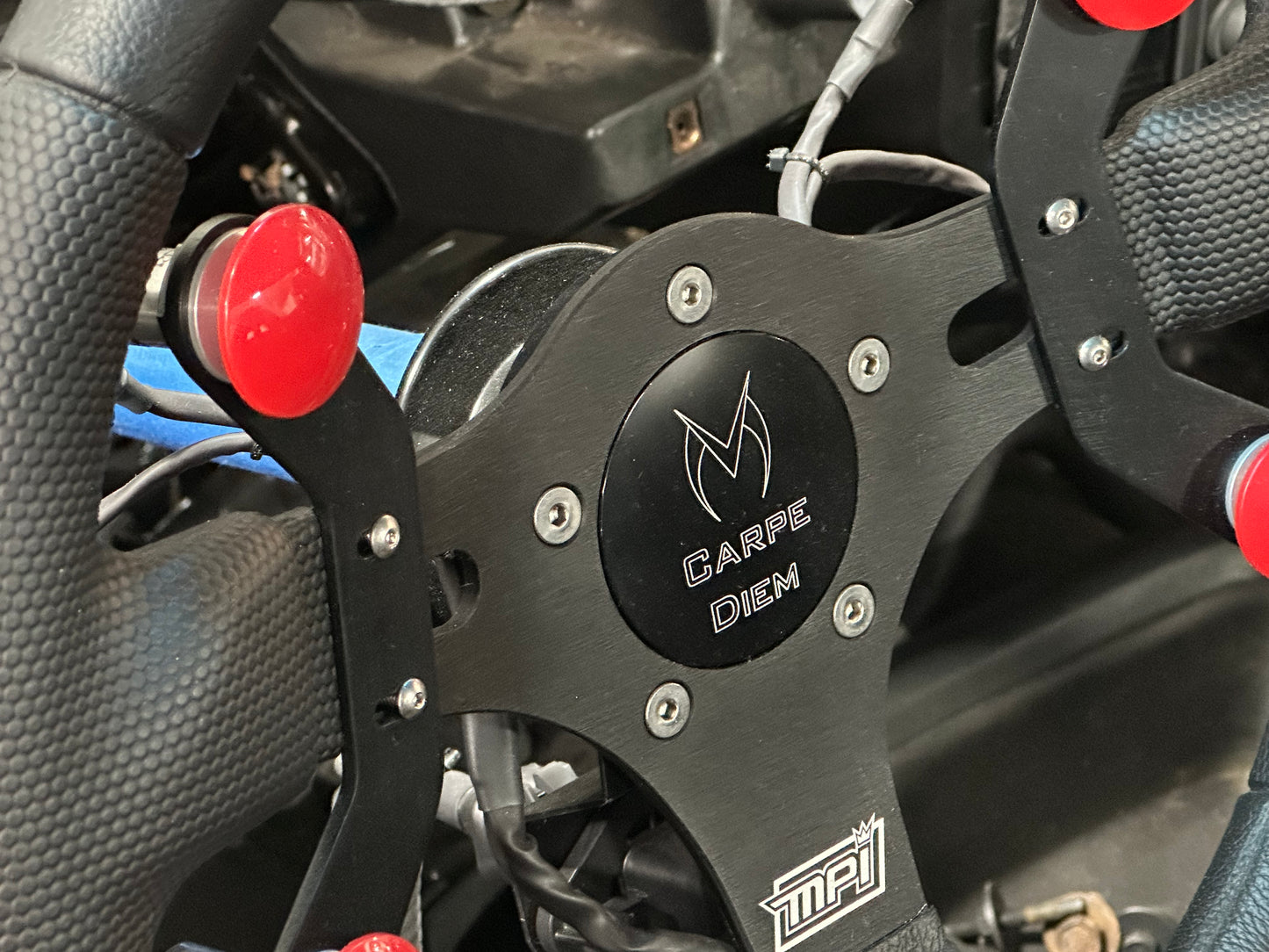 Custom Anodized Horn Buttons